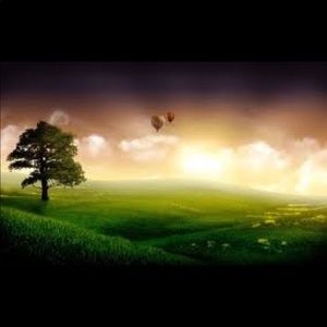 Meet your Posher, Yuan